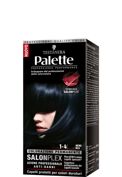 Picture of PALETTE HAIR COLOR  1-4 BLACK BLUE