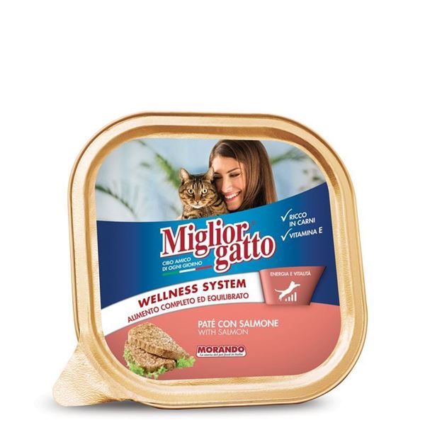 Picture of MIGLIOR GATTO VASCH.GR.100 SALMONE