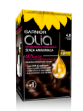 Picture of GARNIER OLIA 4.0 CASTANO SCURO