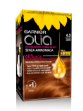 Picture of GARNIER OLIA 6.3 CASTANO CHIARO DORATO