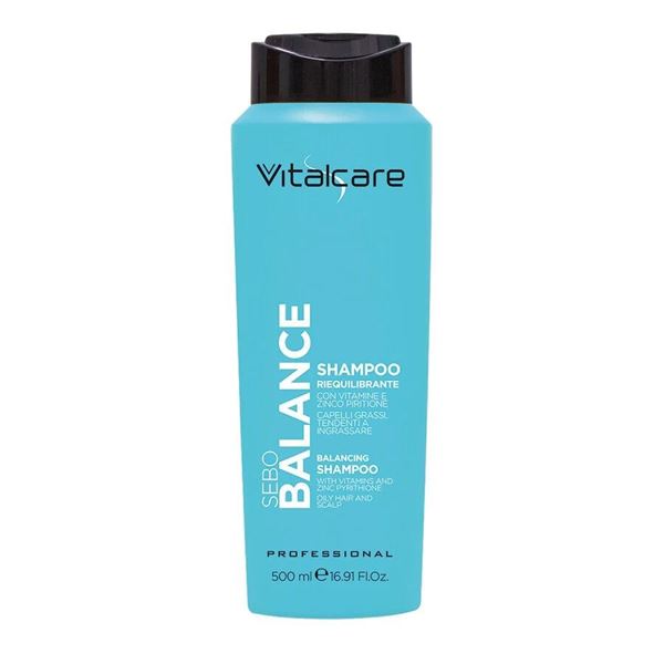 Immagine di VITALCARE SH 500 SEBO BALANCE PROFESSIONAL