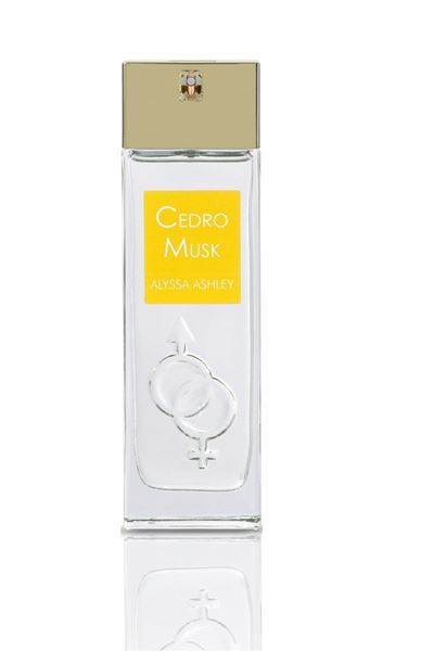 cedro-musk-alyssa