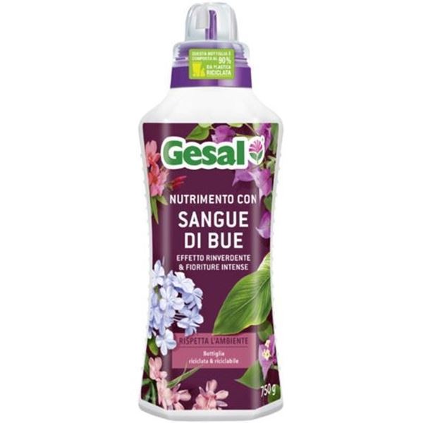 gesal-nutrimento-sangue-bue