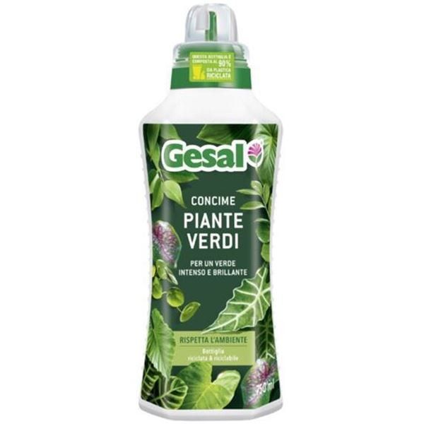 gesal-concime-piante-verdi