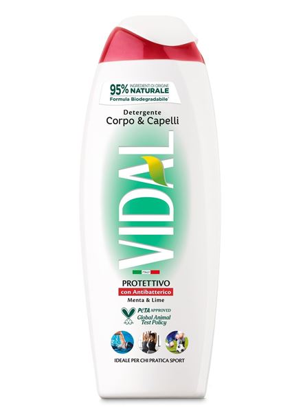 Picture of VIDAL ANTIBACTERICAL SHOWER GEL 250 ML