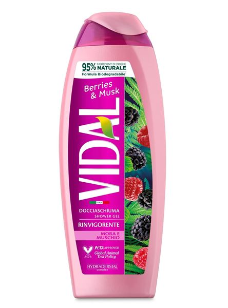 Picture of VIDAL BERRIES & MUSK SHOWER GEL 250 ML