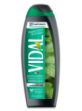 Immagine di VIDAL DOCCIA MENTA & GINCO 3 IN 1