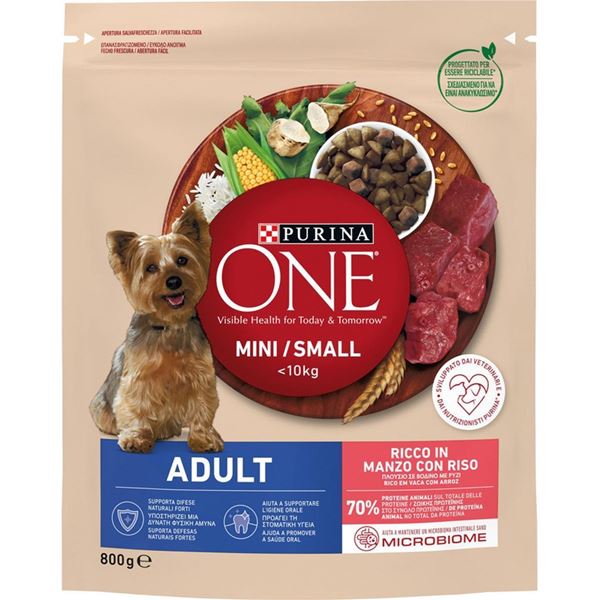 purina-one-cane-croc-gr-800-mini-adult