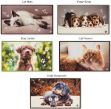 Immagine di TAPPETO DIGITAL PETS 44X75 F.DO GOMMA