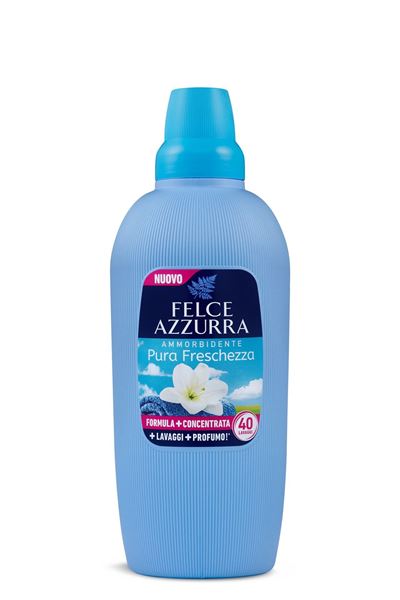 felce azzurra