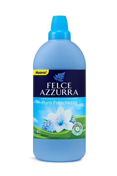 felce azzurra