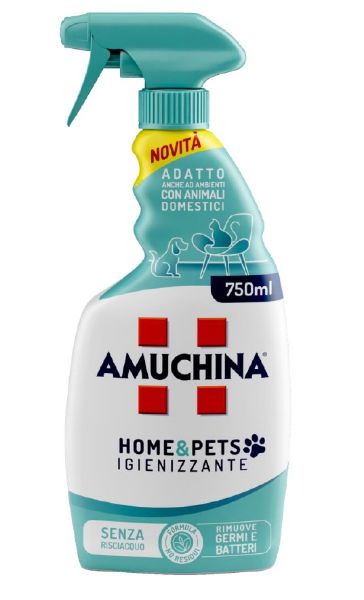 amuchina