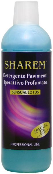 Deodue-skizzo-sharem