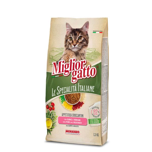 miglior gatto