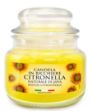 citronella-bicchiere