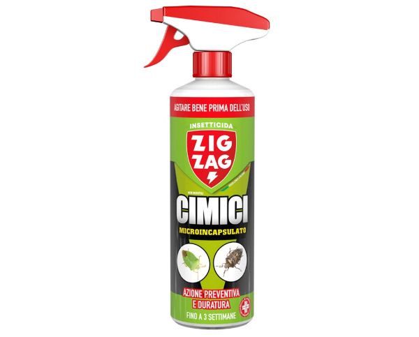 zigzag-cimici