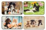 Picture of TAPPETO CANE/GATTO 44X75 F.DO GOMMA