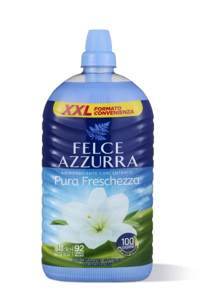 felce azzurra