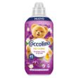 coccolino-orchidea-viola-mirtilli